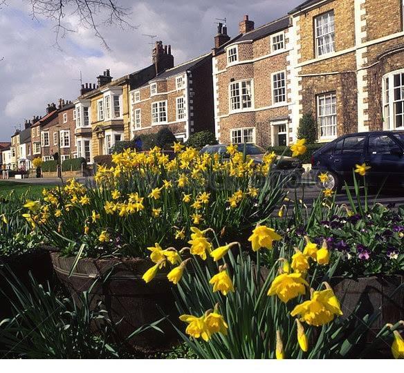 0177ede7-73cd-4539-9797-160cb1669a8f