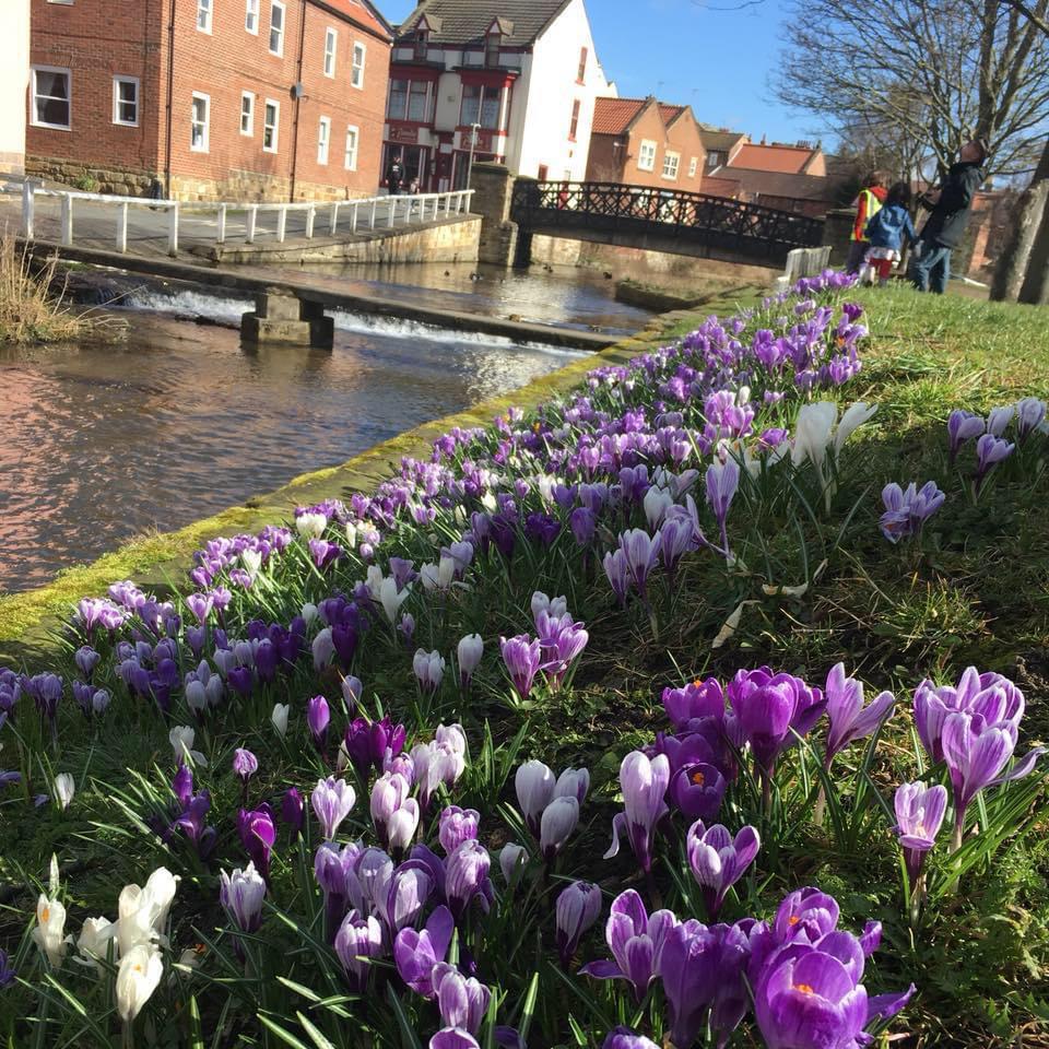 2e584d19-9e26-4433-81f2-098912870399